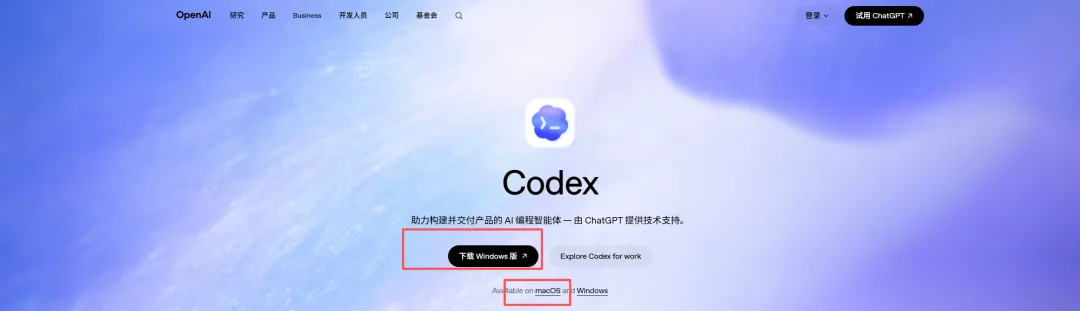 Codex 安装指南:官方安装、商店异常与离线安装排查配图 1