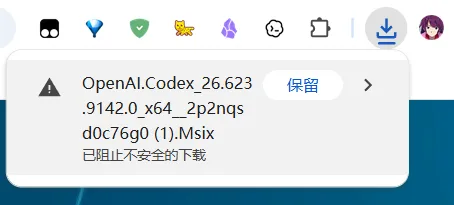 Codex 安装指南:官方安装、商店异常与离线安装排查配图 13